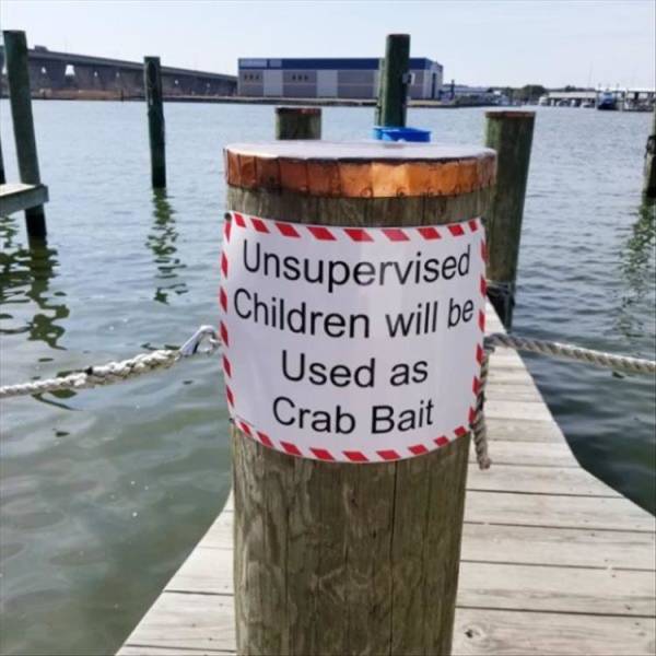 funny picdump 52 pics 2.html - 52 HD Photos | Premium Gallery 2019
