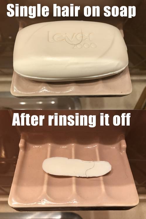 funny picdump 52 pics 2.html - 52 HD Photos | Premium Gallery 2019