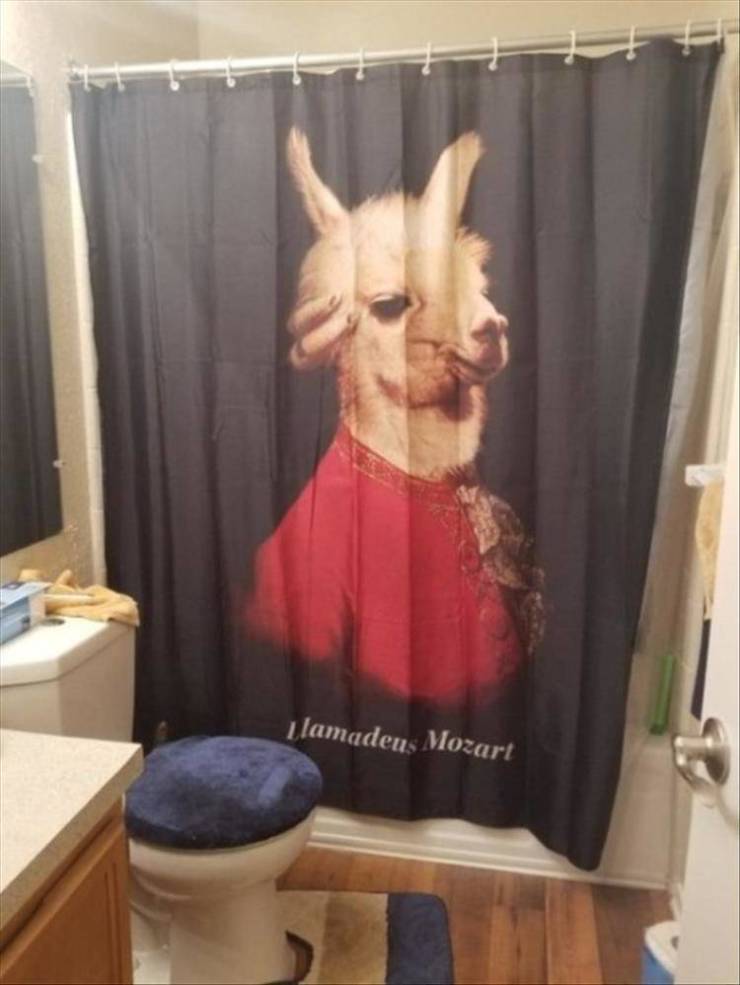 funny picdump 52 pics 2.html - 52 HD Photos | Premium Gallery 2019