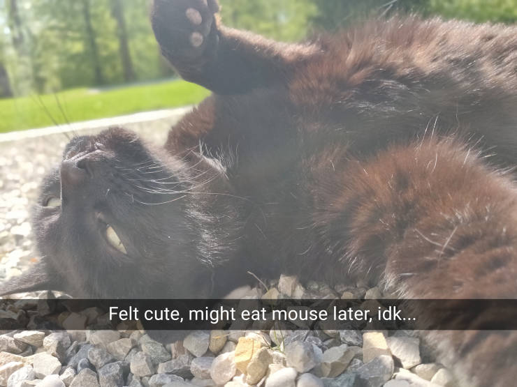 funny picdump 52 pics 3.html - 52 HD Photos | Premium Gallery 2019