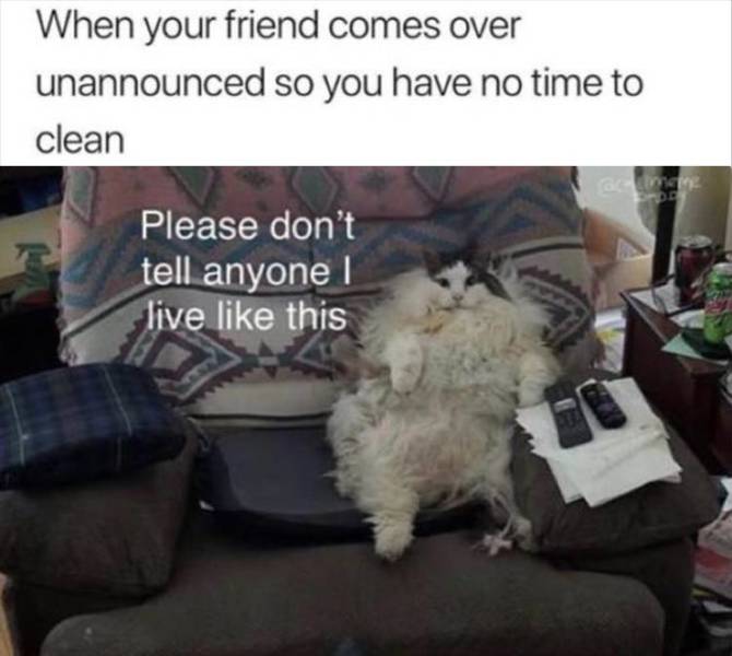 funny picdump 52 pics 3.html - 52 HD Photos | Premium Gallery 2019