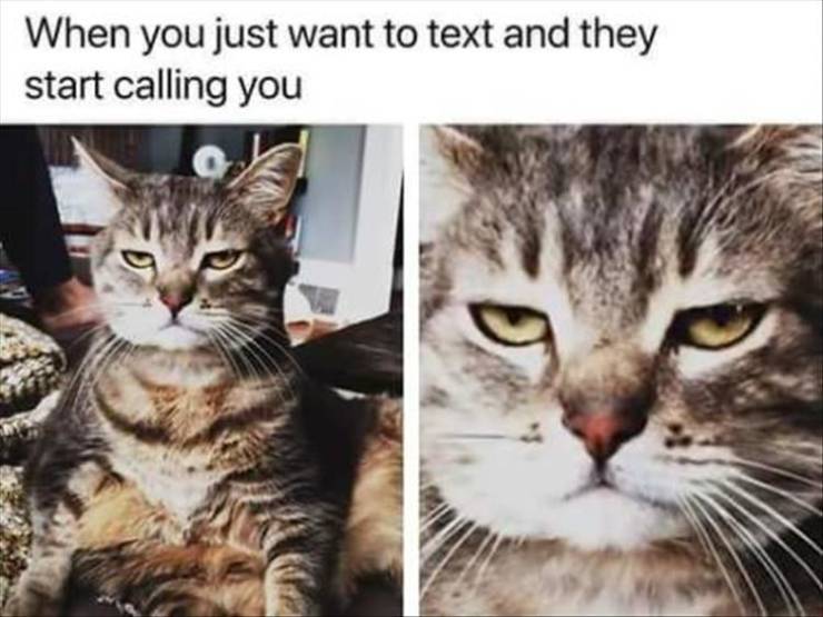 funny picdump 52 pics 3.html - 52 HD Photos | Premium Gallery 2019