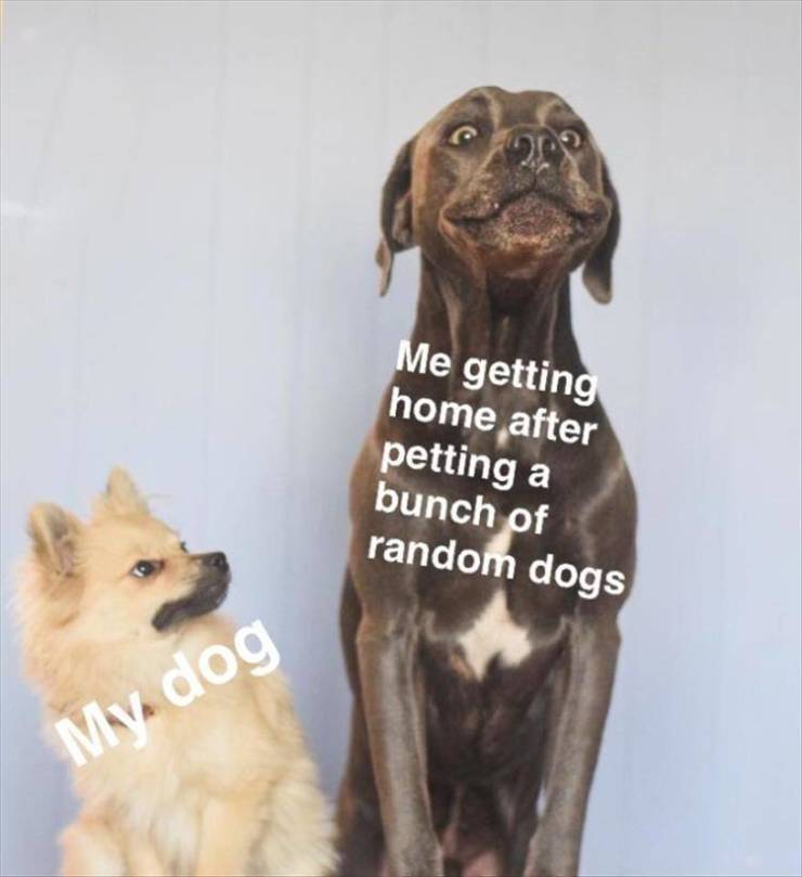 funny picdump 52 pics 3.html - 52 HD Photos | Premium Gallery 2019