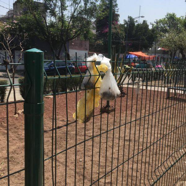 Trash… Trash Everywhere