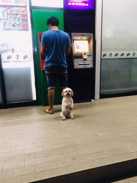 page,23,top 750 daily pics of the year 2019.html - 1 HD Photos | Premium Gallery 2019