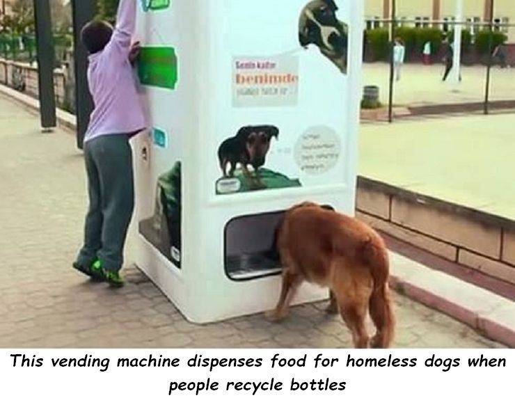 page,13,top 750 daily pics of the year 2019.html - 1 HD Photos | Premium Gallery 2019