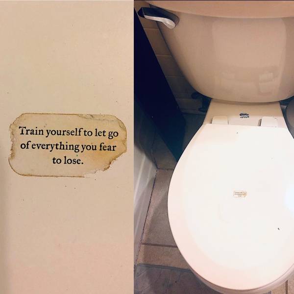 funny picdump 53 pics 3.html - 53 HD Photos | Premium Gallery 2019