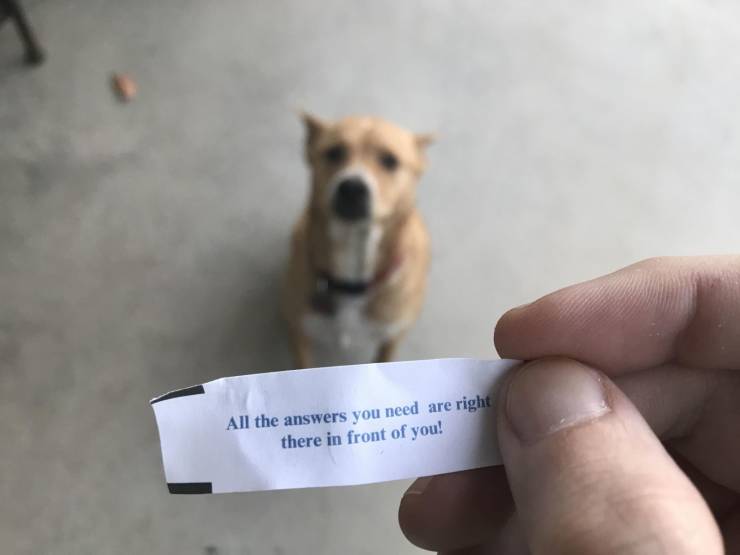 daily picdump 96 pics 14.html - 96 HD Photos | Premium Gallery 2019