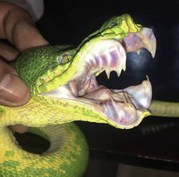 daily picdump 96 pics 14.html - 96 HD Photos | Premium Gallery 2019