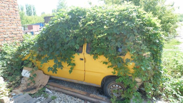 daily picdump 96 pics 14.html - 96 HD Photos | Premium Gallery 2019