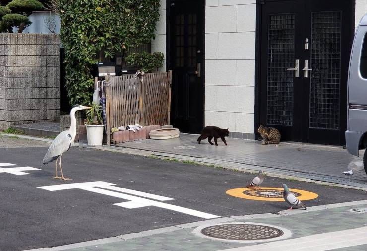 daily picdump 96 pics 14.html - 96 HD Photos | Premium Gallery 2019