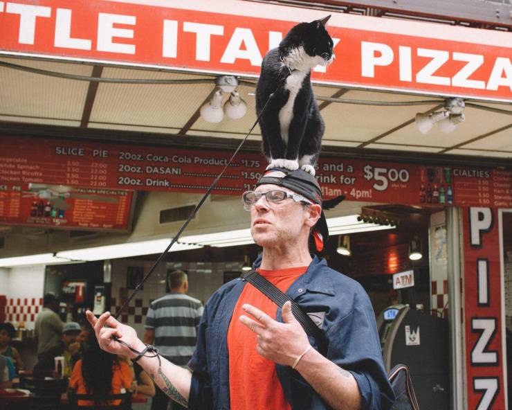 daily picdump 96 pics 14.html - 96 HD Photos | Premium Gallery 2019