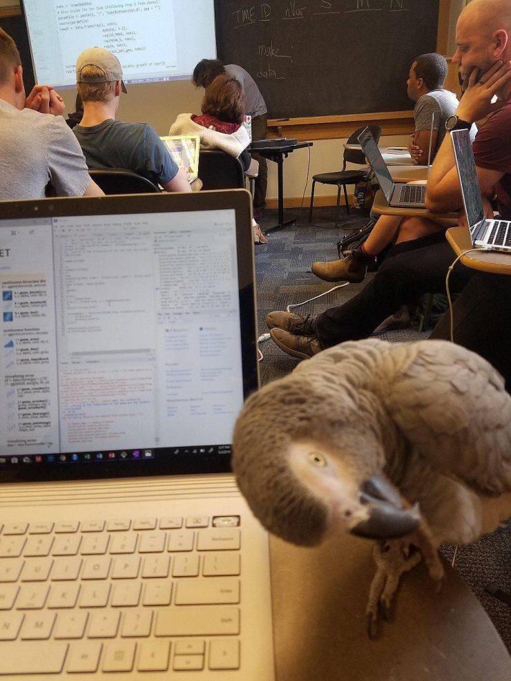 daily picdump 96 pics 14.html - 96 HD Photos | Premium Gallery 2019