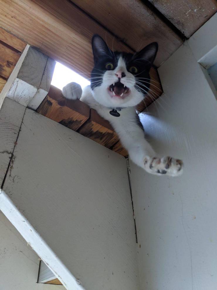 daily picdump 96 pics 14.html - 96 HD Photos | Premium Gallery 2019