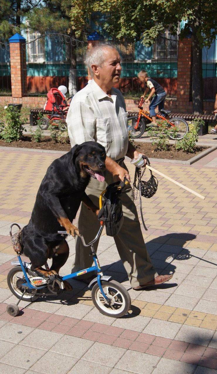 daily picdump 96 pics 14.html - 96 HD Photos | Premium Gallery 2019