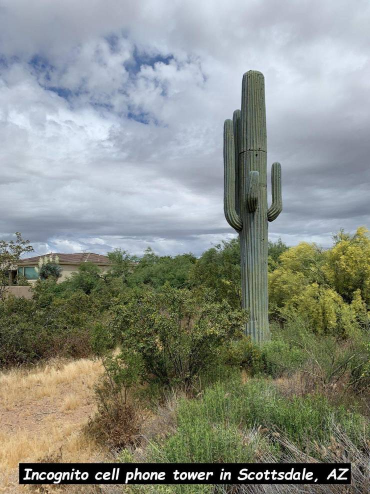 daily picdump 96 pics 14.html - 96 HD Photos | Premium Gallery 2019