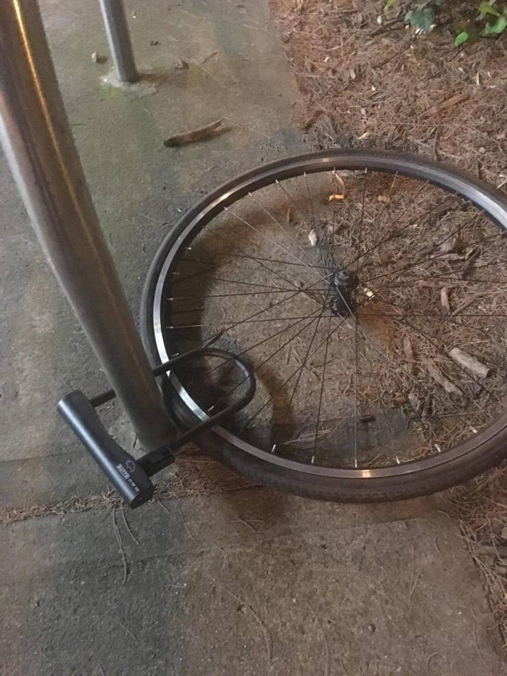 daily picdump 96 pics 14.html - 96 HD Photos | Premium Gallery 2019