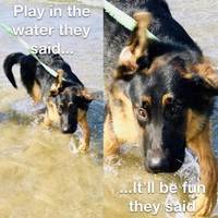 calm down bro video.html - 1 HD Video | Premium Gallery 2020