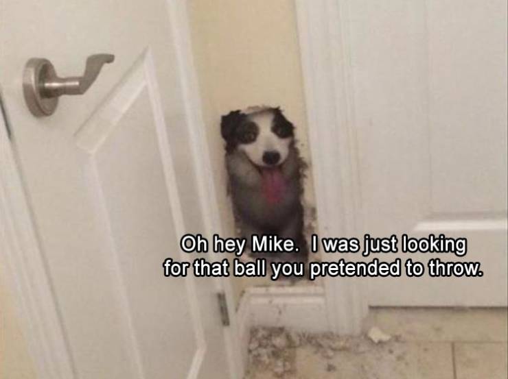 funny picdump 50 pics 15.html - 50 HD Photos | Premium Gallery 2019