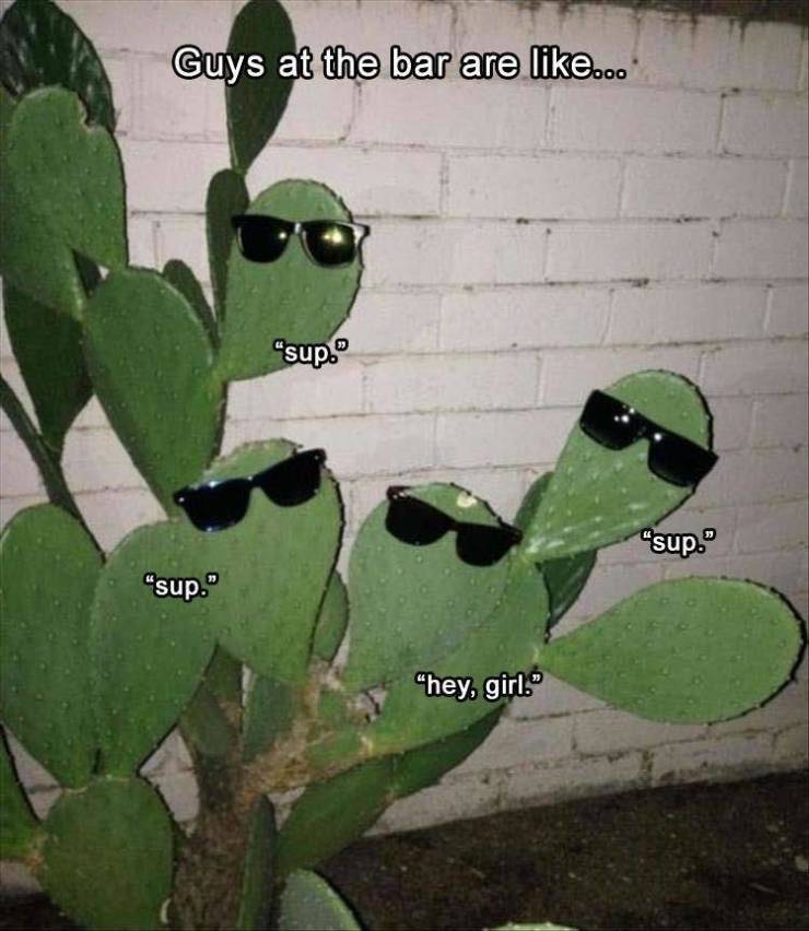 funny picdump 50 pics 15.html - 50 HD Photos | Premium Gallery 2019