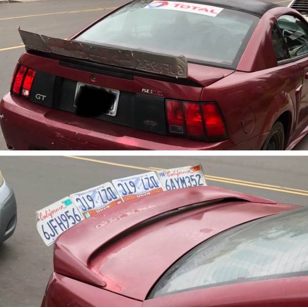 daily picdump 96 pics 36.html - 96 HD Photos | Premium Gallery 2019