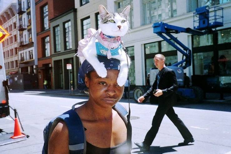 daily picdump 96 pics 36.html - 96 HD Photos | Premium Gallery 2019