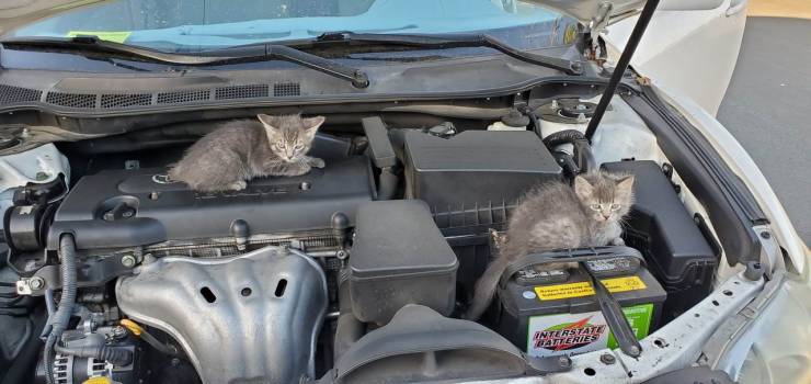 daily picdump 96 pics 36.html - 96 HD Photos | Premium Gallery 2019