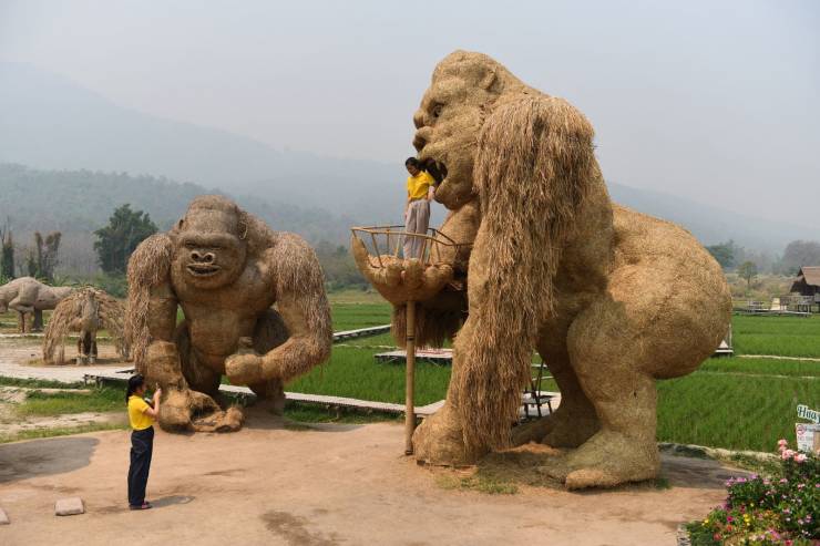 daily picdump 96 pics 36.html - 96 HD Photos | Premium Gallery 2019