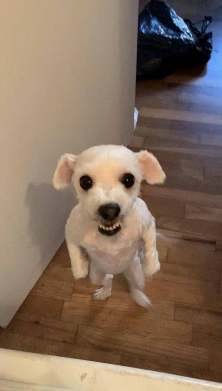 daily picdump 96 pics 36.html - 96 HD Photos | Premium Gallery 2019