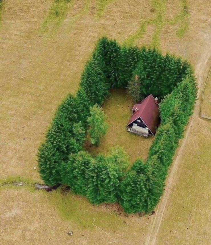 daily picdump 96 pics 36.html - 96 HD Photos | Premium Gallery 2019