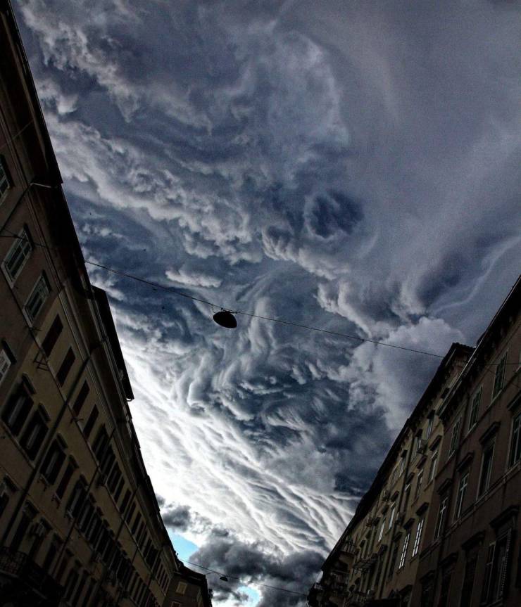 daily picdump 96 pics 36.html - 96 HD Photos | Premium Gallery 2019