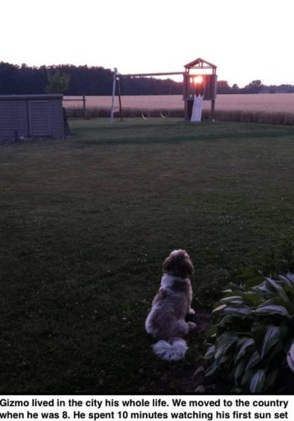 page,8,top 750 daily pics of the year 2019.html - 1 HD Photos | Premium Gallery 2019