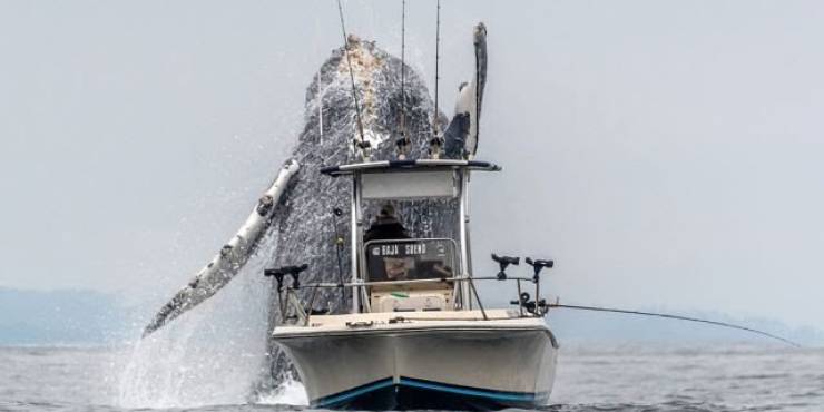 page,7,top 250 morning pics of the year 2019.html - 1 HD Photos | Premium Gallery 2019