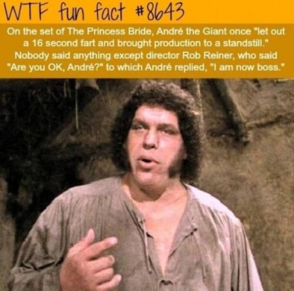 Still Think Size Doesn’t Matter?