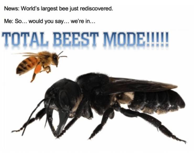 Still Think Size Doesn’t Matter?