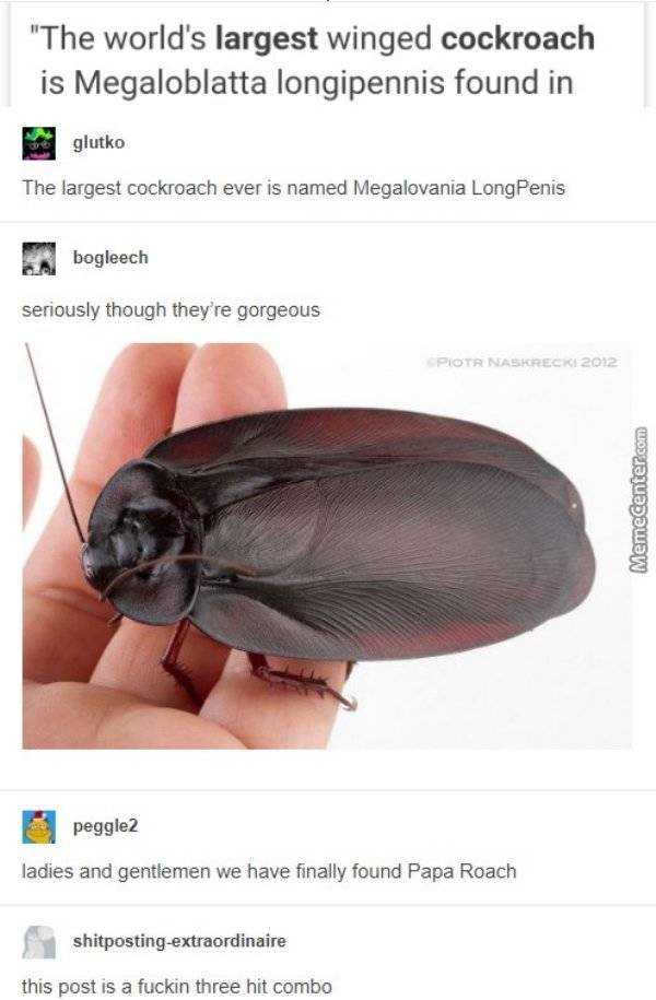 Still Think Size Doesn’t Matter?