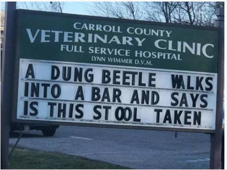 funny picdump 50 pics 21.html - 50 HD Photos | Premium Gallery 2019