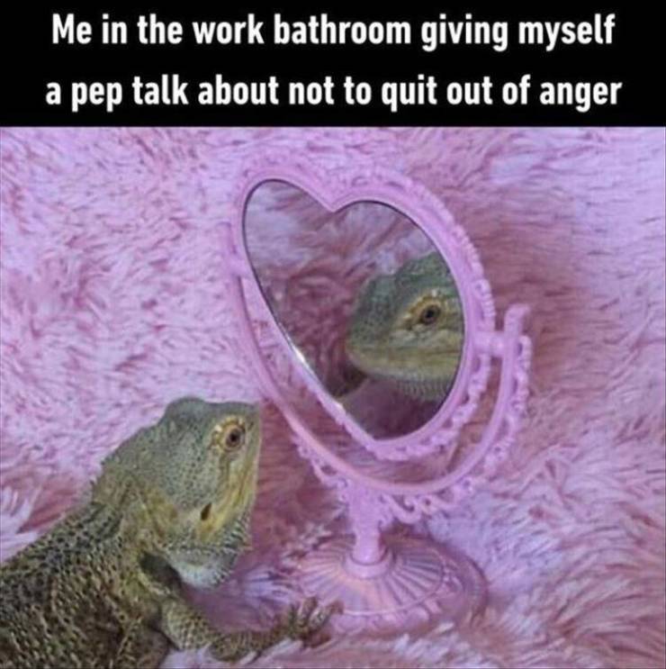 funny picdump 50 pics 21.html - 50 HD Photos | Premium Gallery 2019