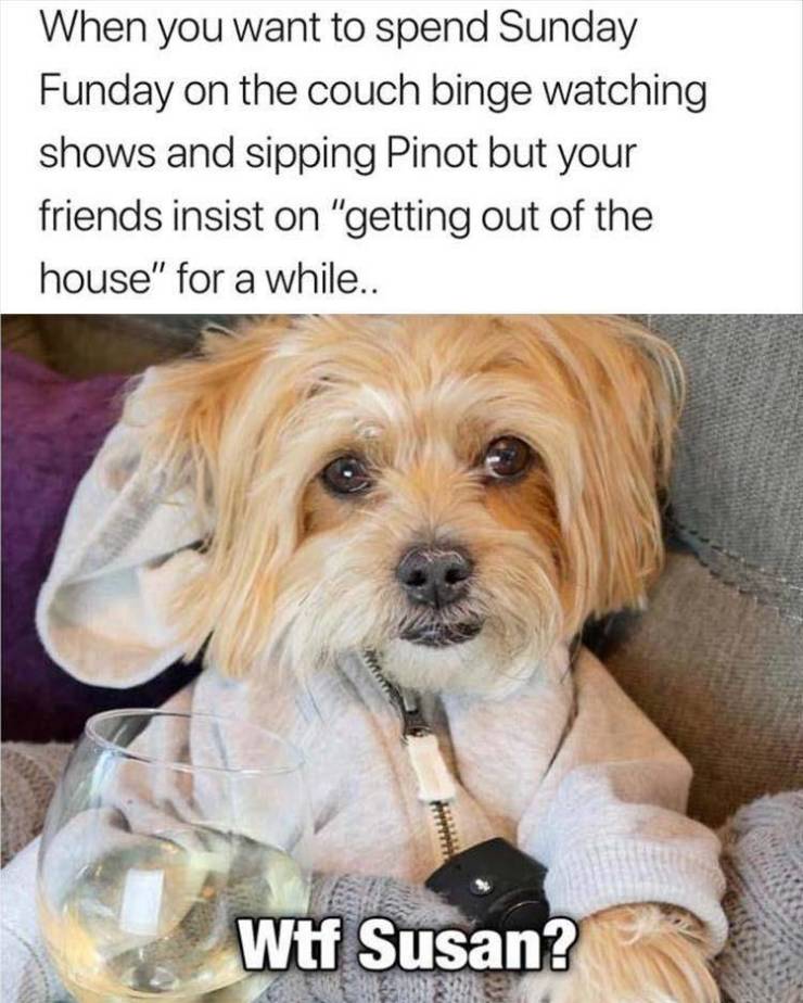 funny picdump 50 pics 21.html - 50 HD Photos | Premium Gallery 2019