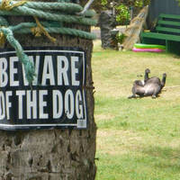 grownup corner 58 pics.html - 58 HD Photos | Premium Gallery 2020