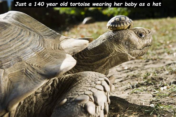 page,14,top 750 daily pics of the year 2019.html - 1 HD Photos | Premium Gallery 2019