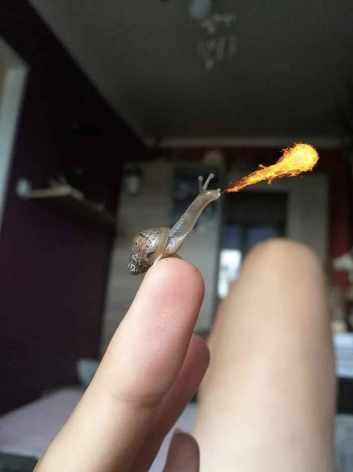 morning picdump 54 pics 26.html - 54 HD Photos | Premium Gallery 2019