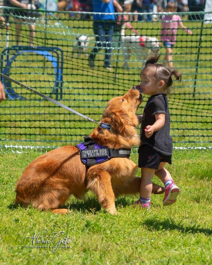morning picdump 54 pics 26.html - 54 HD Photos | Premium Gallery 2019