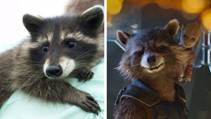 top 100 celebs pics of the year 2019.html - 1 HD Photos | Premium Gallery 2019