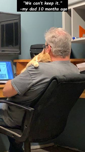 page,23,top 750 daily pics of the year 2019.html - 1 HD Photos | Premium Gallery 2019