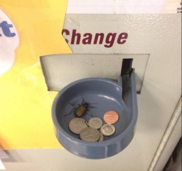 And On To The Nopetown We Go