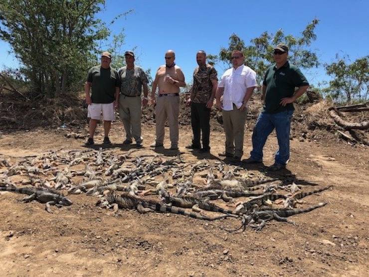 And On To The Nopetown We Go