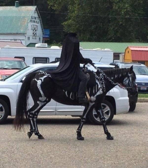 And On To The Nopetown We Go