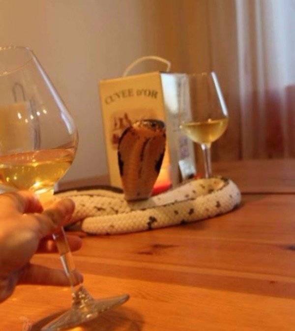 And On To The Nopetown We Go