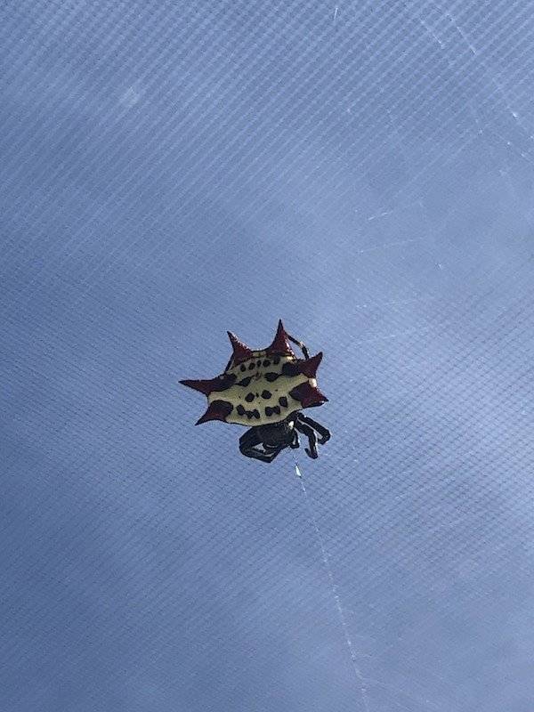 And On To The Nopetown We Go